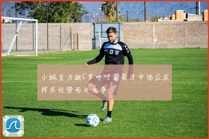 小豌豆力挺C罗呼吁葡萄牙中场应发挥其优势而非竞争